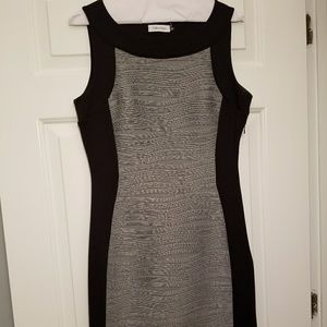 Calvin Klein Sleeveless two toned dress